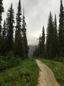 The Iceline Trail in Yoho National Park, Canadian Rockies