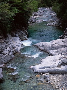 Landscape with a mountain river. photo