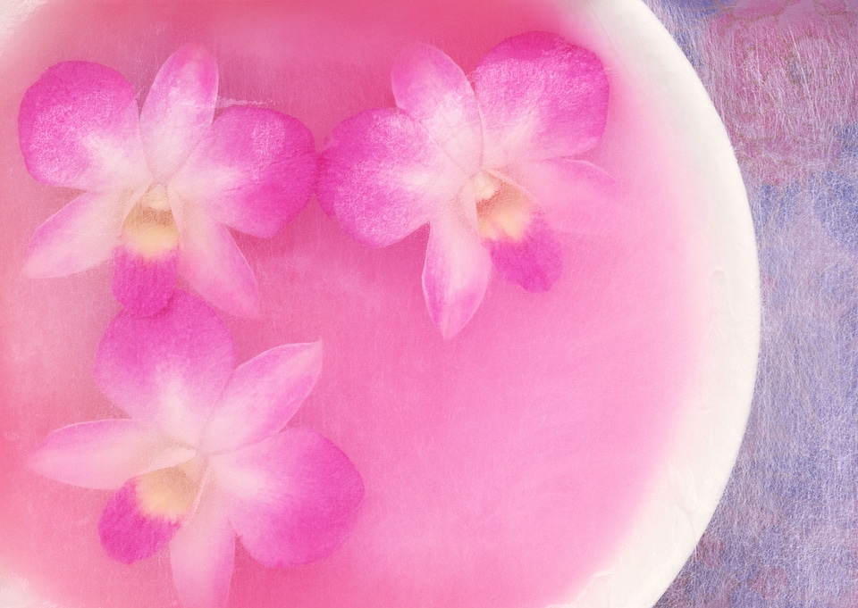 Vintage and soft light of pink flowers patels