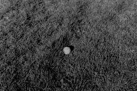 PICT0035-edited