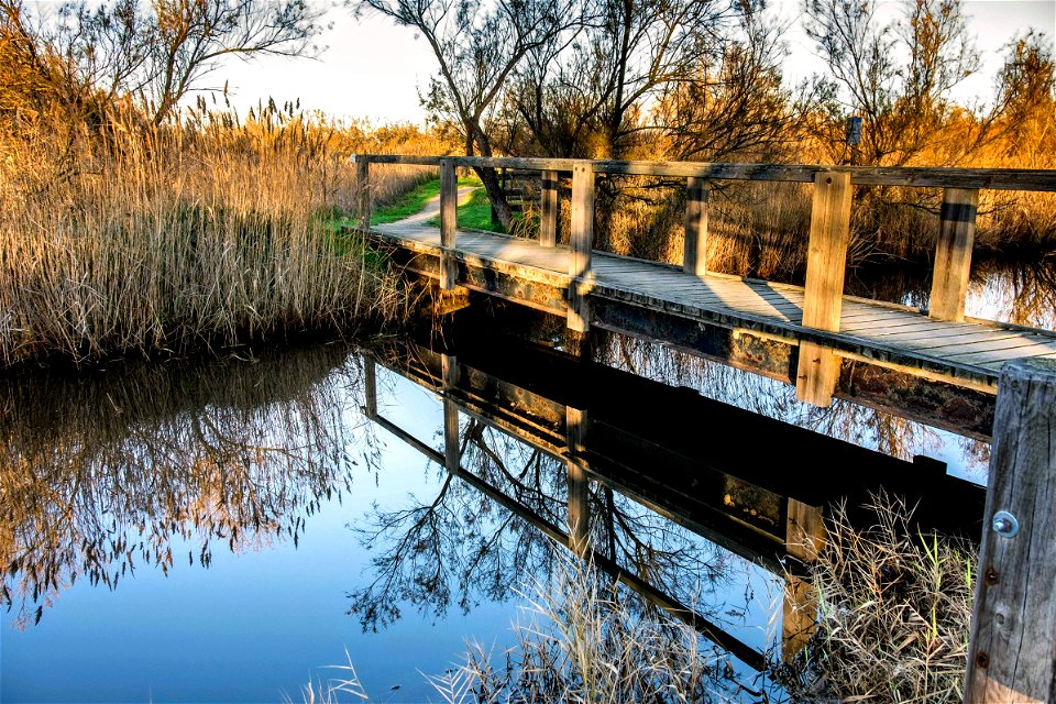 23-12-2019 Aiguamolls de l' Empordà