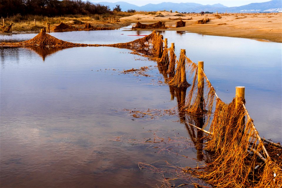 29-01-2020 Platja de Sant Pere Pescador