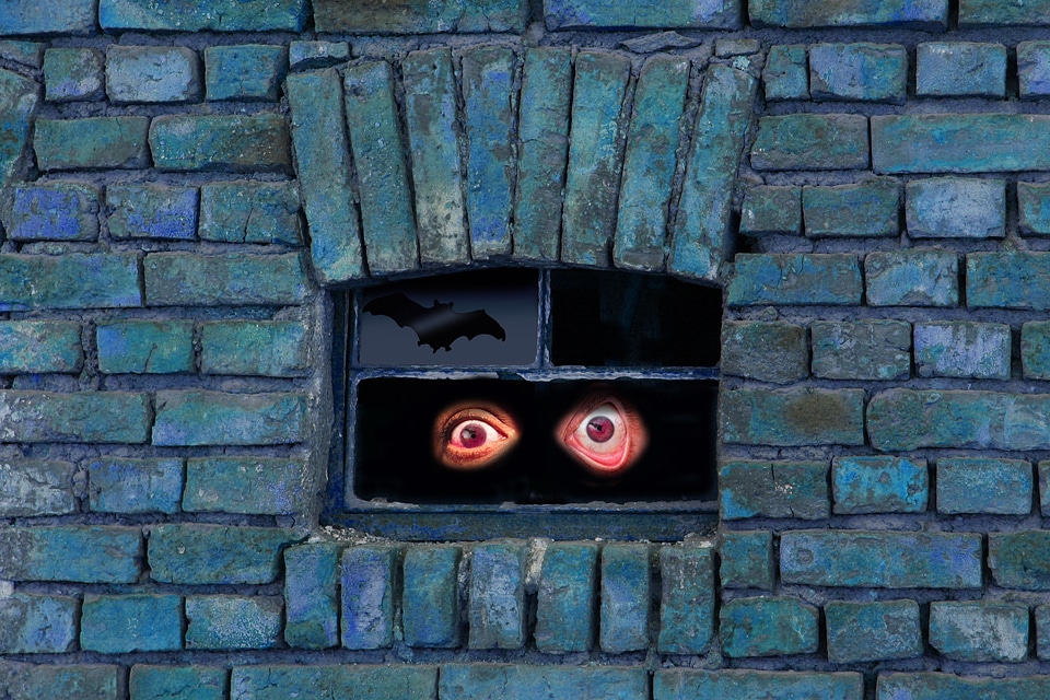Mysterious mirroring eyes
