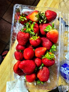Strawberry Carton 2