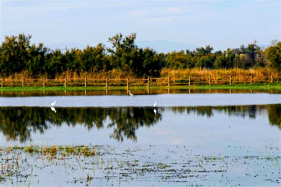 24-09-2020 Aiguamolls de l' Empordà