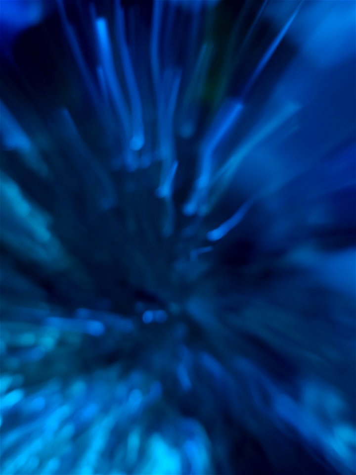 Aquatic Reflections