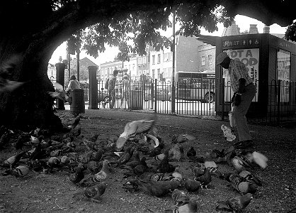 Feeding The Pigeons - Camberwell Green photo