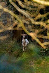 _DSC5415-Edit-Edit