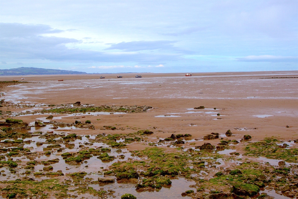 Low tide in the sea