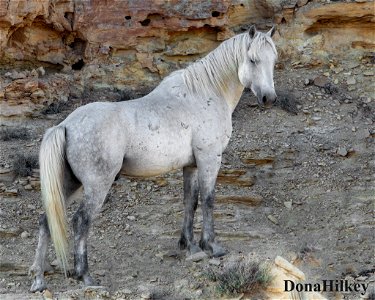 hercules-cliff-21may2020
