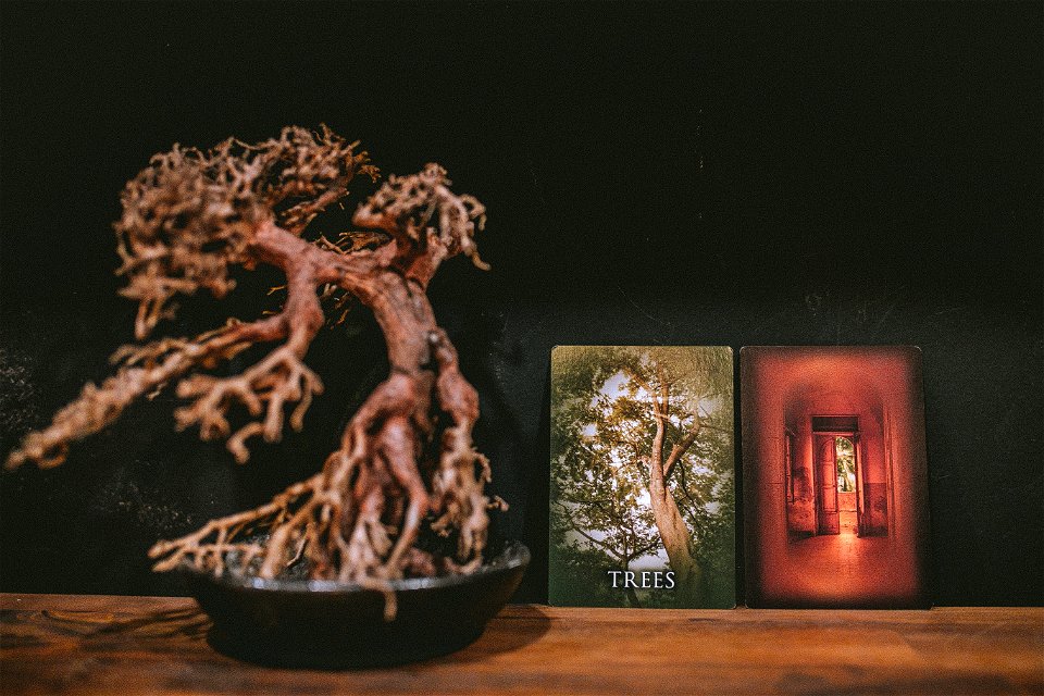 tarot (39 of 137)