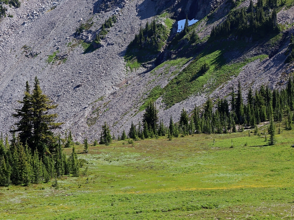 Goat Rocks Wilderness
