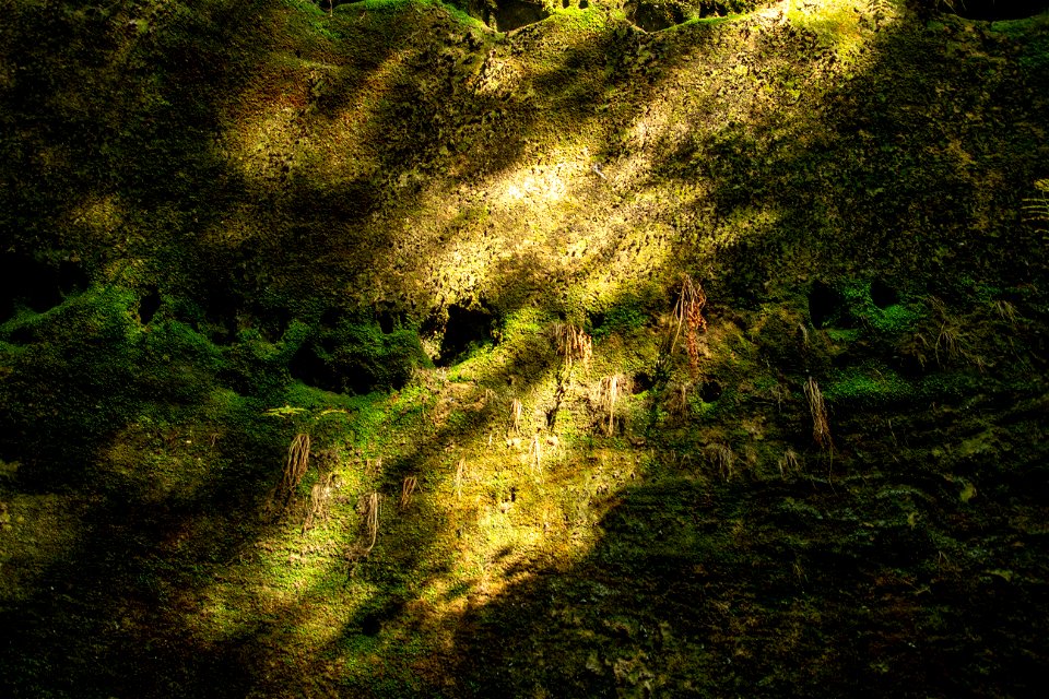 Dismals Canyon