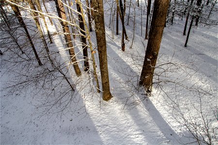 Winter Snow photo