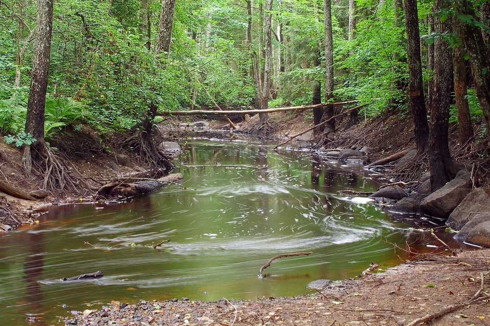 River deep in mountain forest