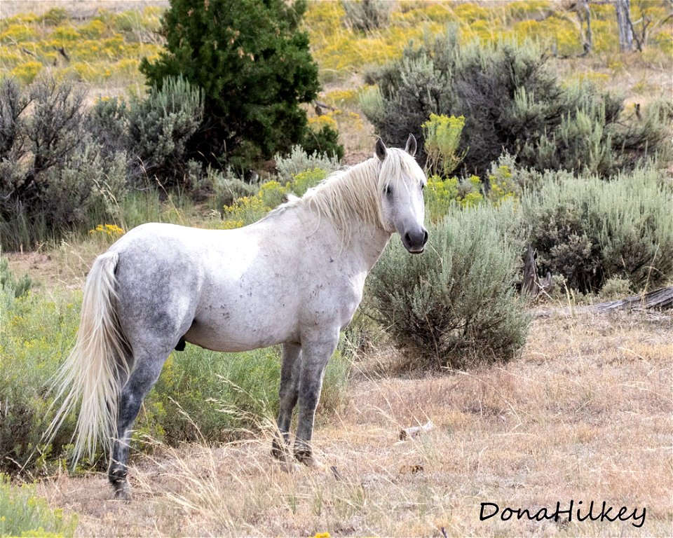 web-Handsome-aug2019