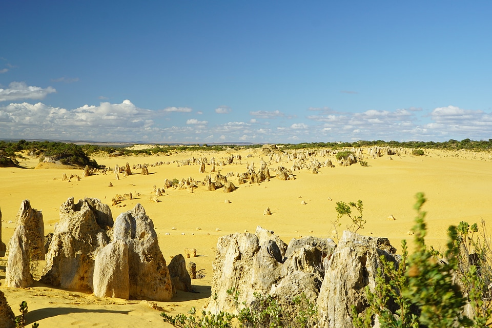 The Pinnacles National Park