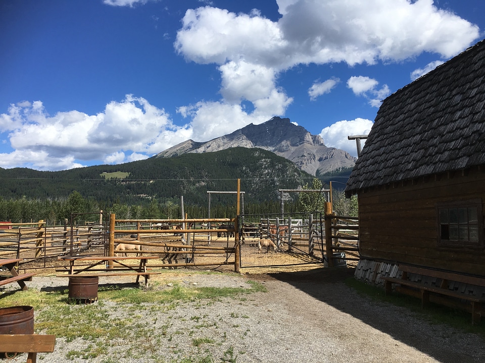 Horse tours near Edith a Annette Lake in Jasper National Park