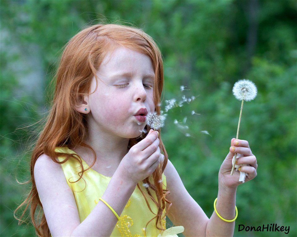Boo-blowing-dandelion-13june2021-Flag-Creek