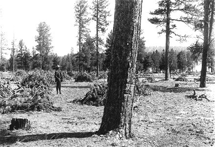 Historic Photos Cibola NF & NGs