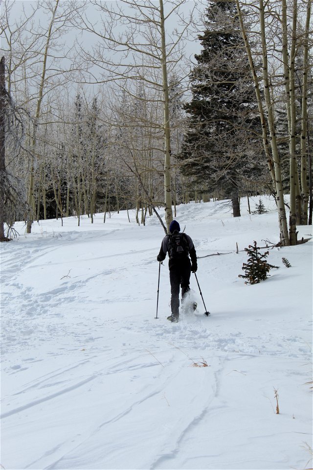 Sandia 10K Trailhead