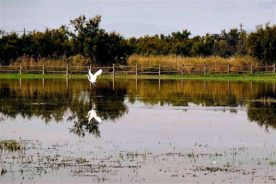 24-09-2020 Aiguamolls de l' Empordà
