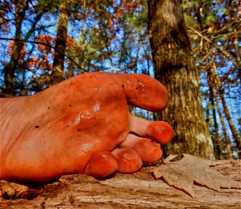 male feet photo