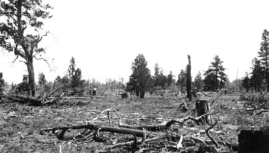 Historic Photos Cibola NF & NGs