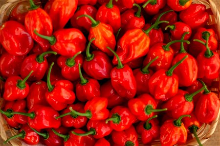 Hot Peppers