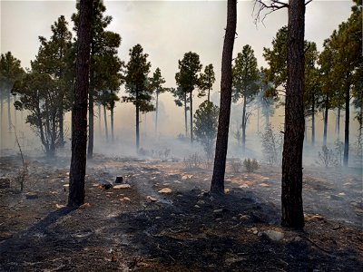 Thunderbird Prescribed Burn