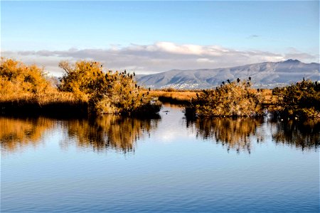 23-12-2019 Aiguamolls de l' Empordà