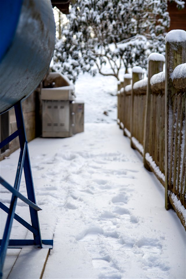 Winter Snow