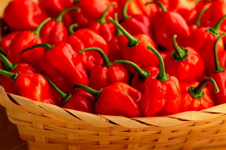 Hot Peppers photo