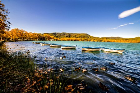 07-11-2021 Estany de Banyoles