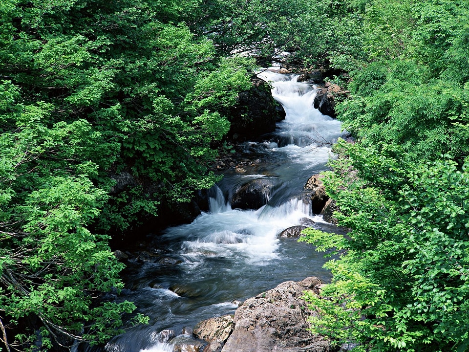 Waterfall with green yard