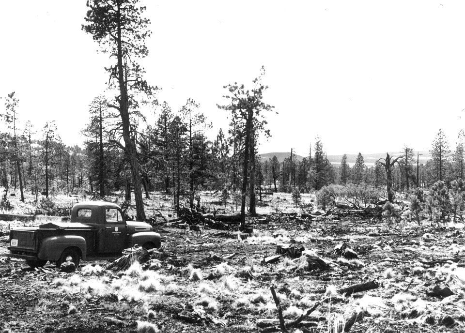 Historic Photos Cibola NF & NGs