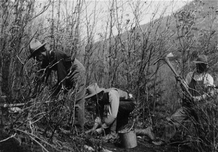 Historic Photo Cibola NF & NGs