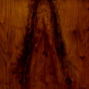 Wood_Door photo