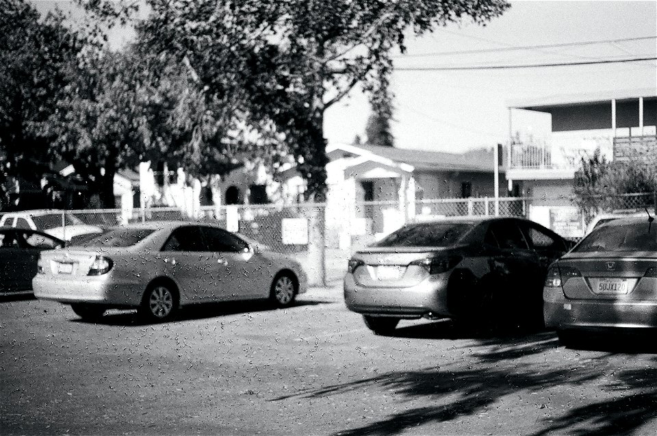 40190016-edited