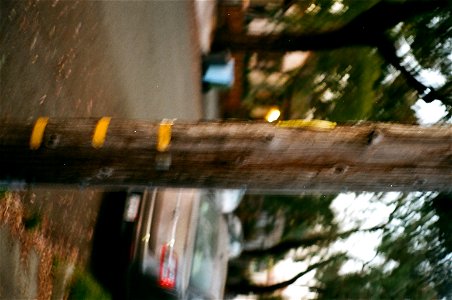 40850025