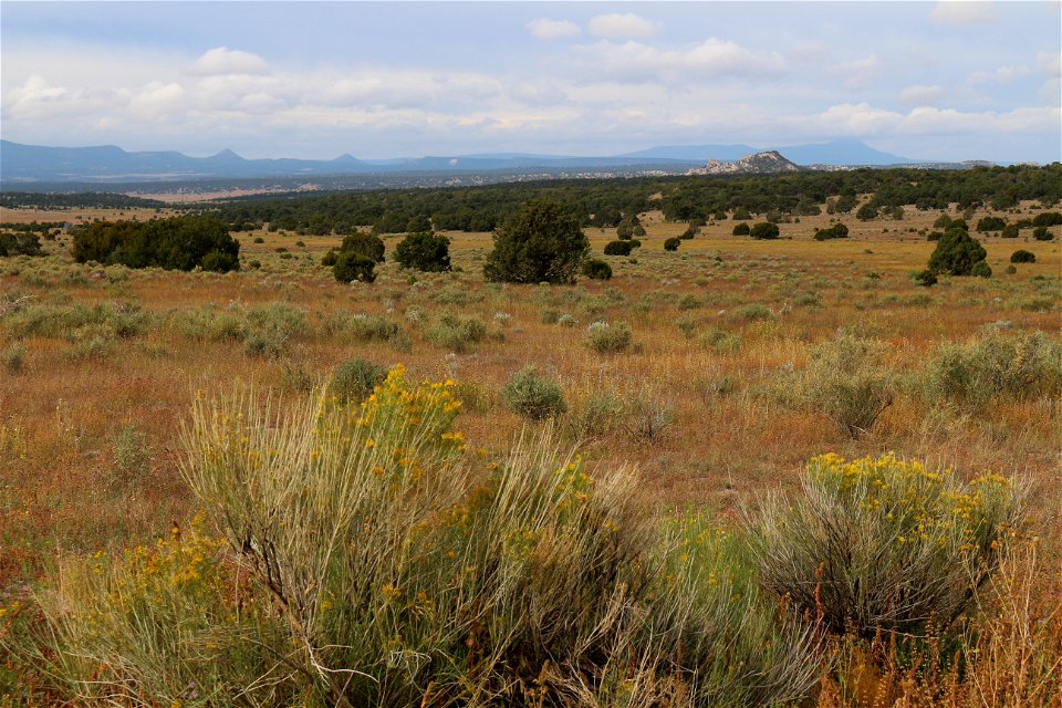 20181002-FS-Cibola-Magdalena Sawtooth-001
