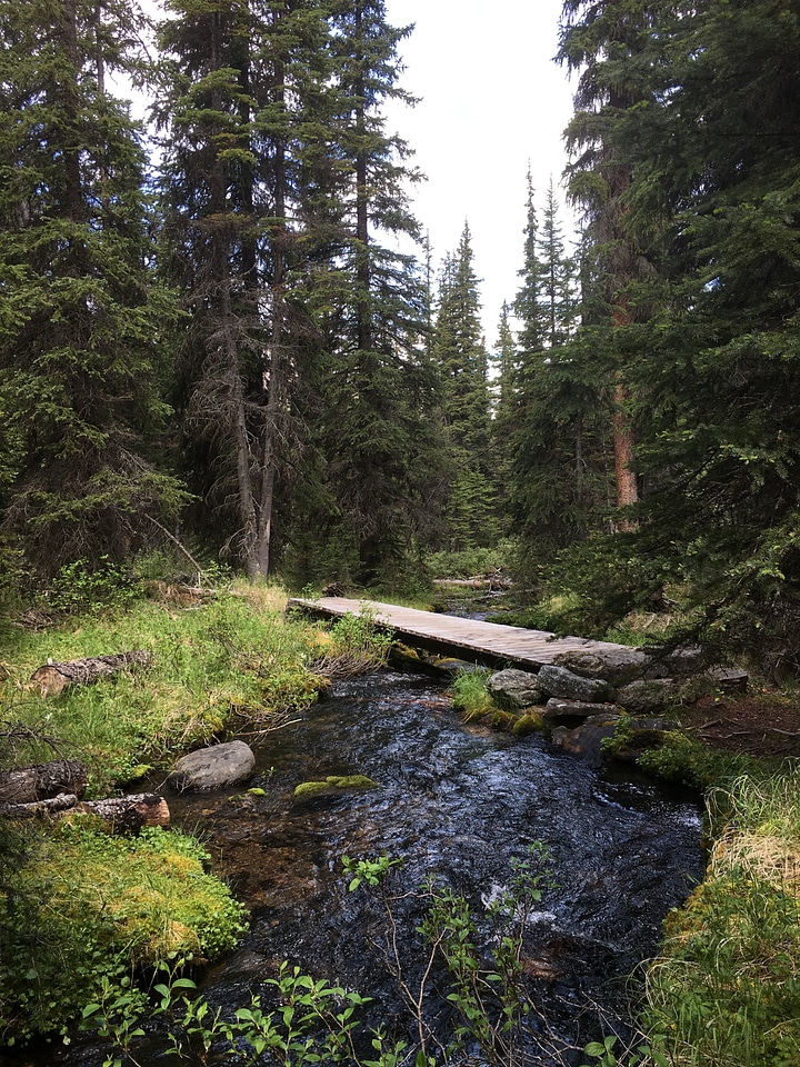 hiking trail in Opabin Plateau above Lake OHara