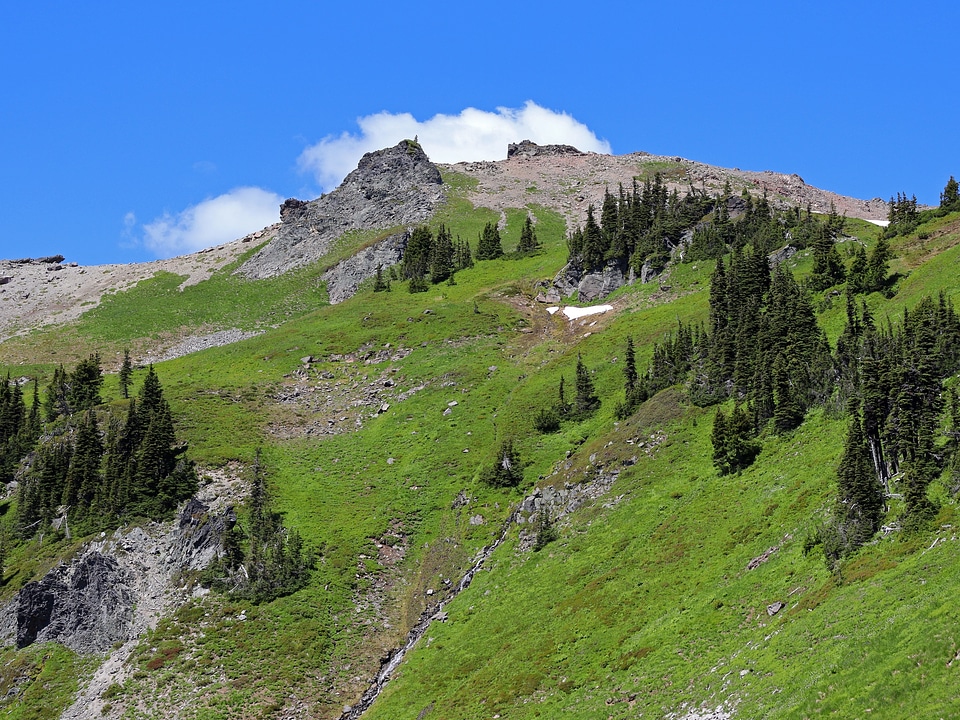 Goat Rocks Wilderness