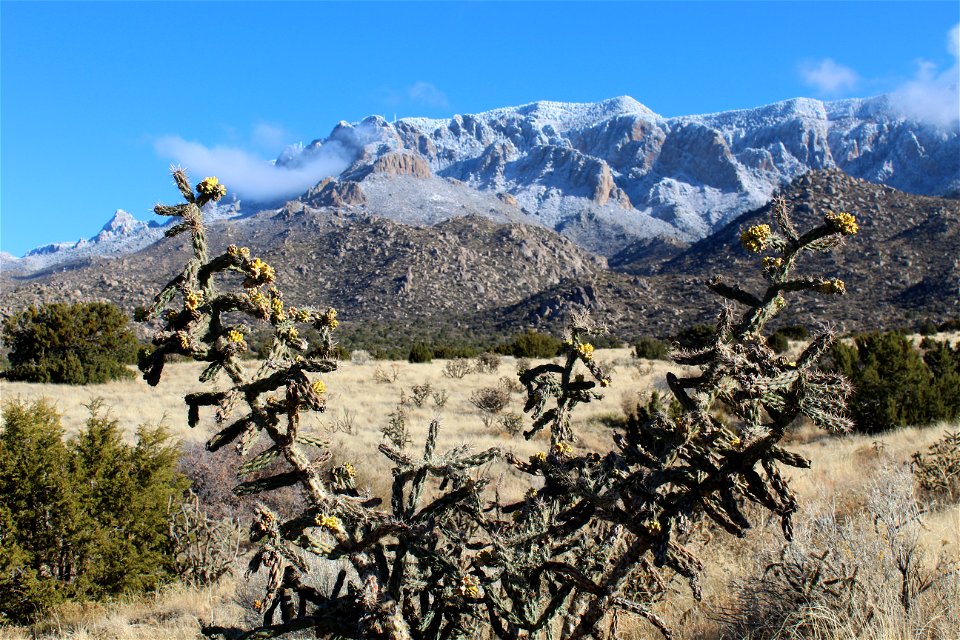 11 19 Sandia Peak West 11