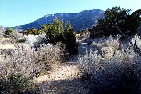 Sandia Ranger District – 3 Gun Trailhead