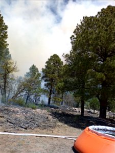 Thunderbird Prescribed Burn