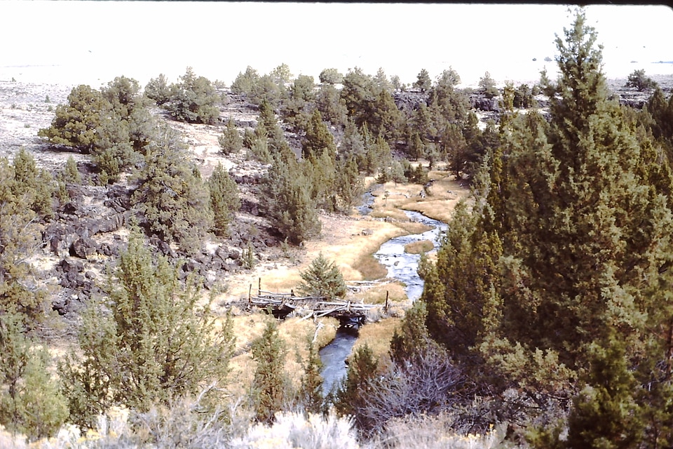 Historic Sheep Bridge in the Applegate Field