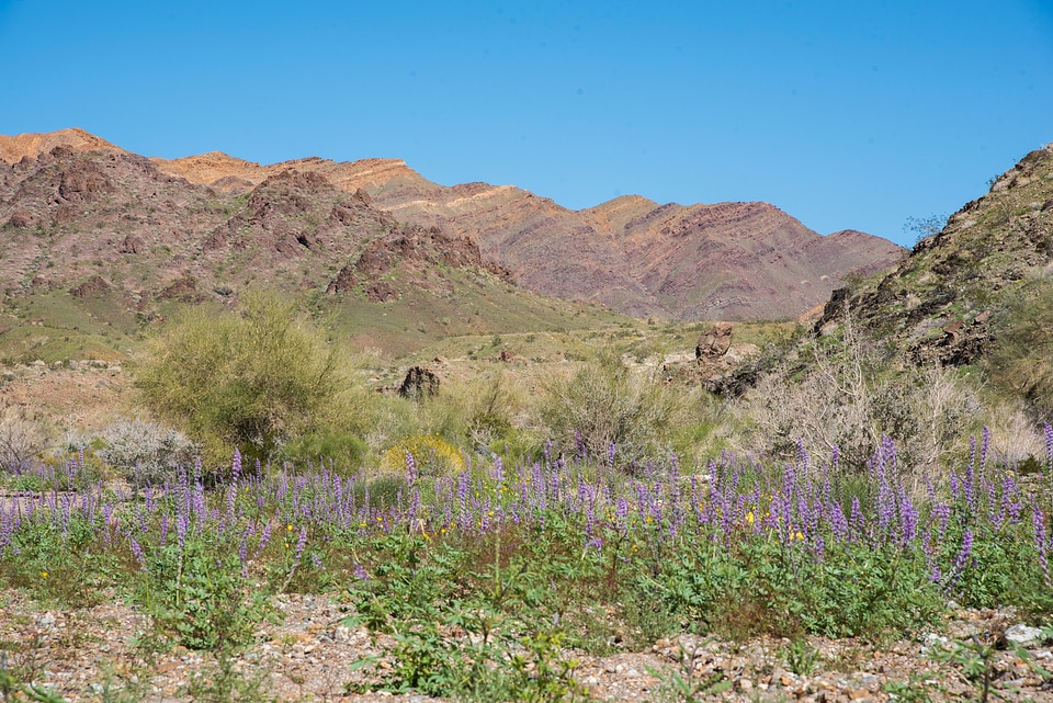 Bradshaw Trail National Back Country Byway