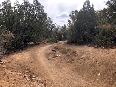 Trailwork on Sandia RD
