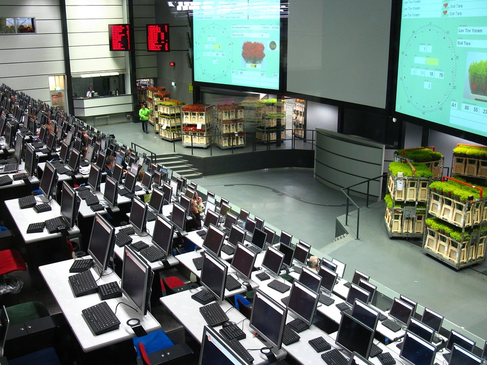 Flower auction in Aalsmeer